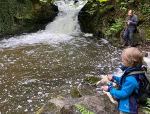 Košínský potok - pstruhový revír v centru Tábora