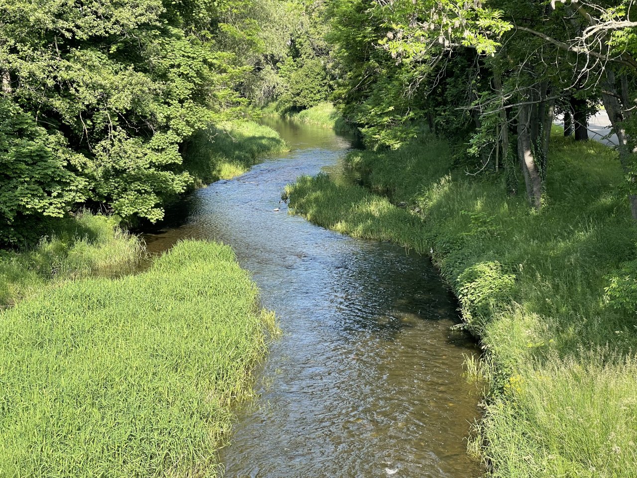 Byst�ice Han�ck� v Olomouci