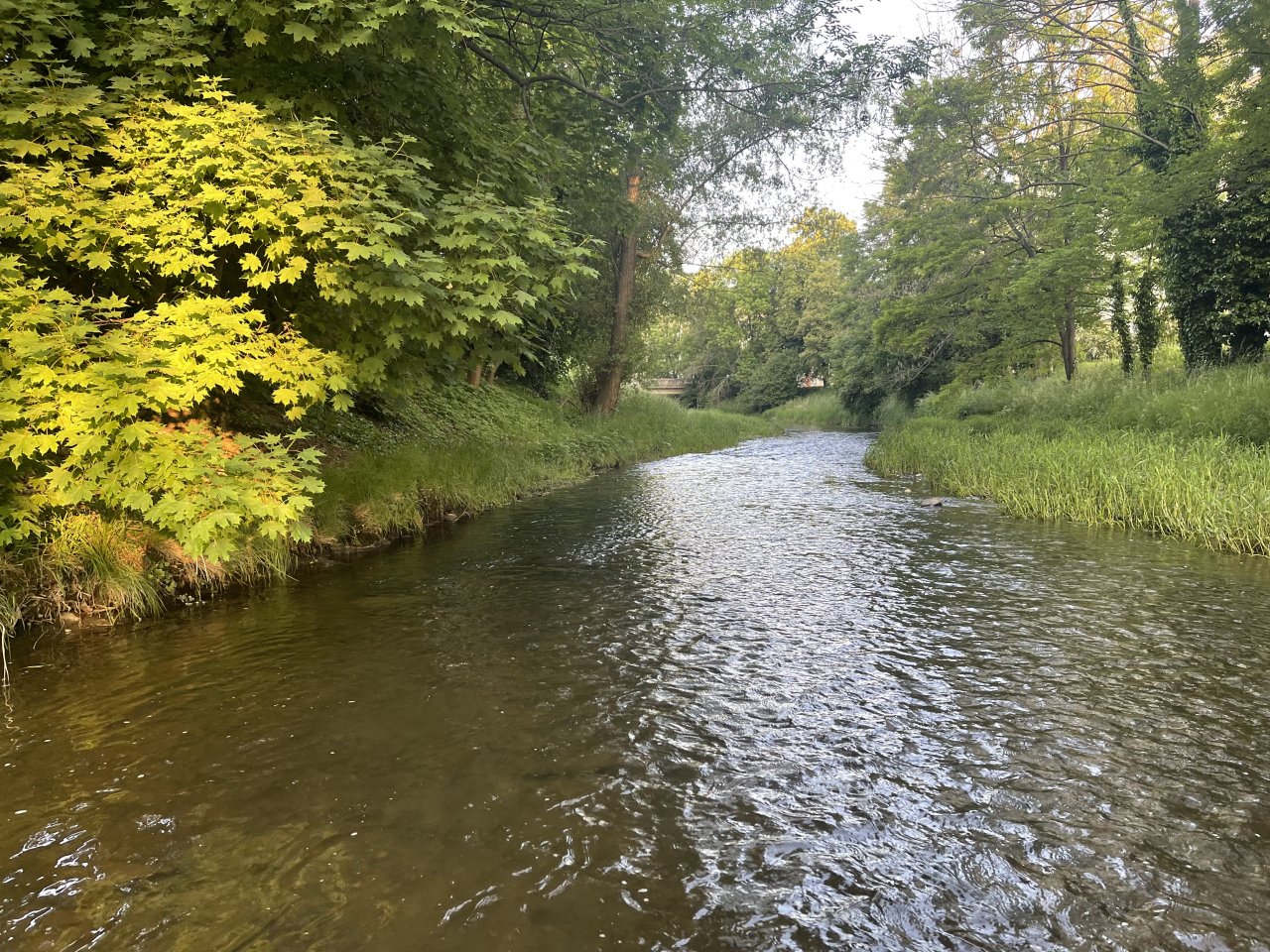 Byst�ice Han�ck� v Olomouci