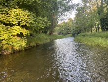 Bystřice Hanácká v Olomouci