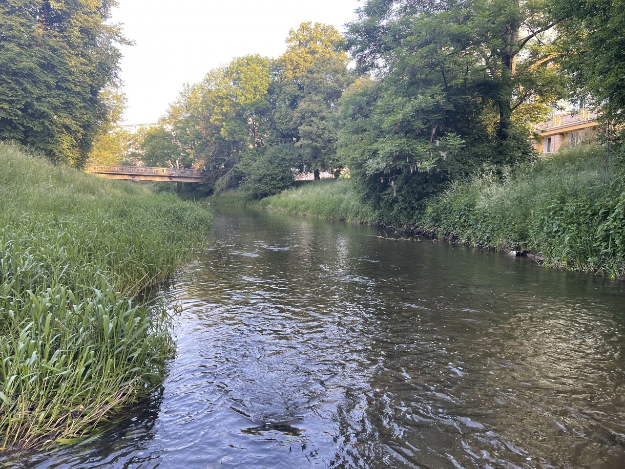 Byst�ice Han�ck� v Olomouci