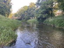 Bystřice Hanácká v Olomouci