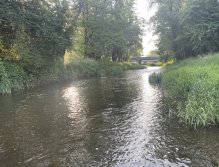 Bystřice Hanácká v Olomouci