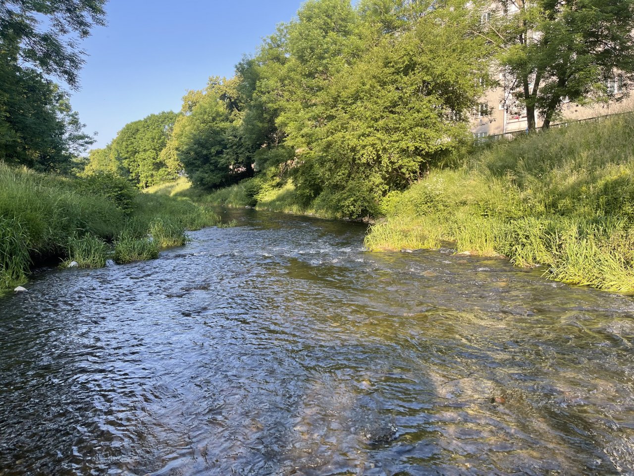 Byst�ice Han�ck� v Olomouci