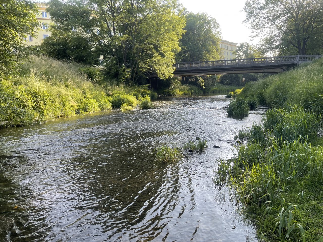 Byst�ice Han�ck� v Olomouci