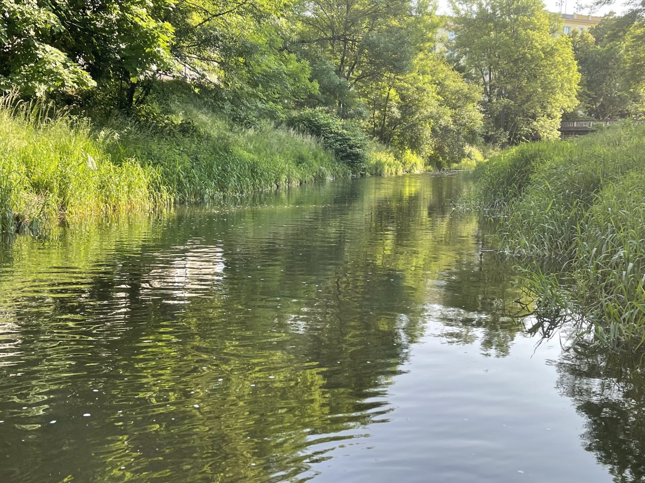 Byst�ice Han�ck� v Olomouci