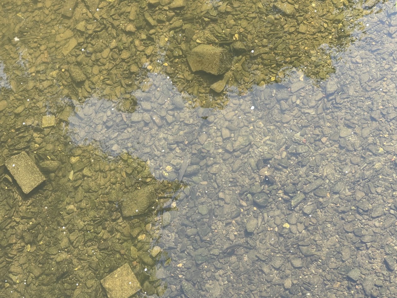 Byst�ice Han�ck� v Olomouci