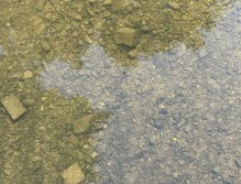 Bystřice Hanácká v Olomouci