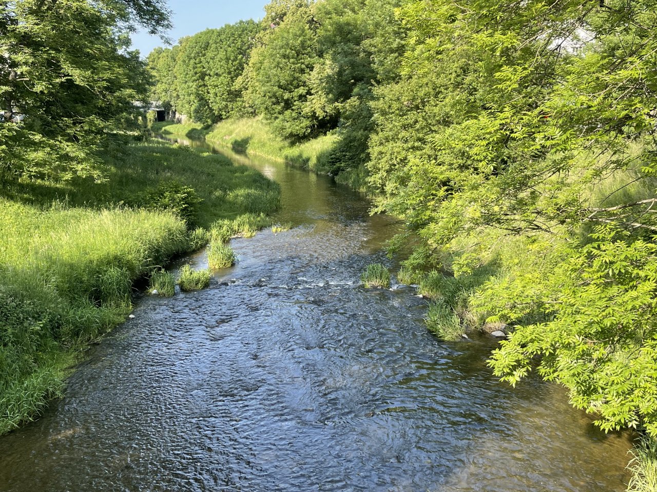 Byst�ice Han�ck� v Olomouci