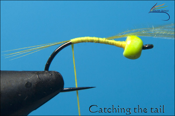 P�ichycen� �t�t�