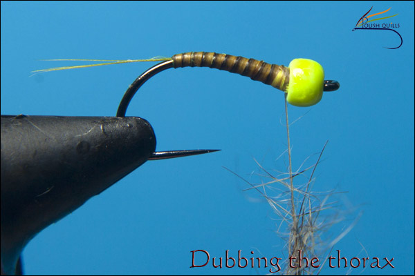 Nadubov�n� thoraxu