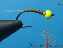 Nadubování thoraxu