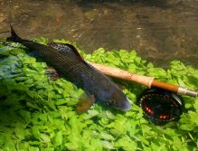 Mimořádně povedená kompozice tradičního pojetí fotografie ve stylu "Fish & Gear".