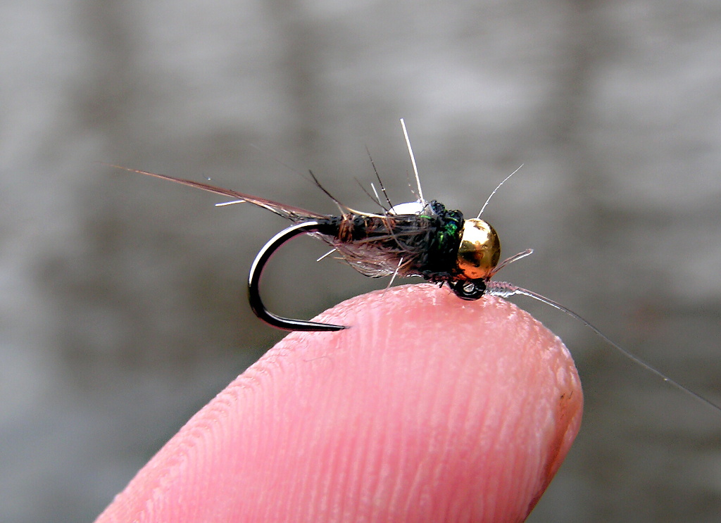 A m�m t�! Tungstenov� verze PTN - perfektn� lipanov� nymfa!