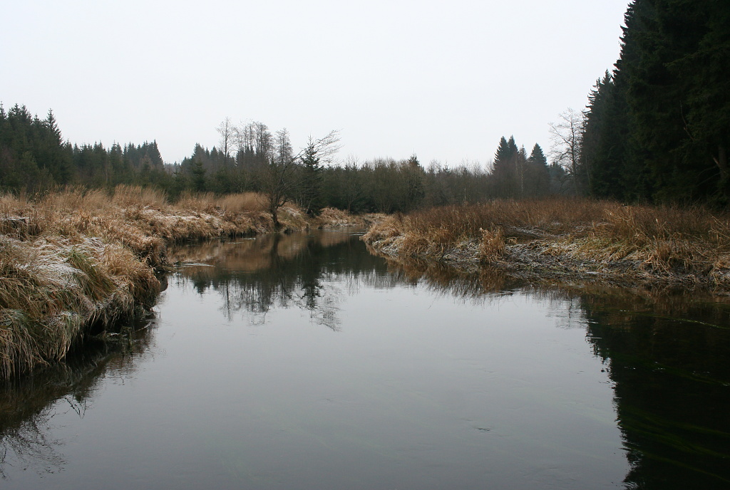 Par�dn� m�sto pro podzimn� lipanov� lov na suchou mu�ku.