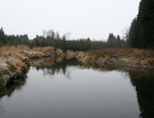 Parádní místo pro podzimní lipanový lov na suchou mušku.