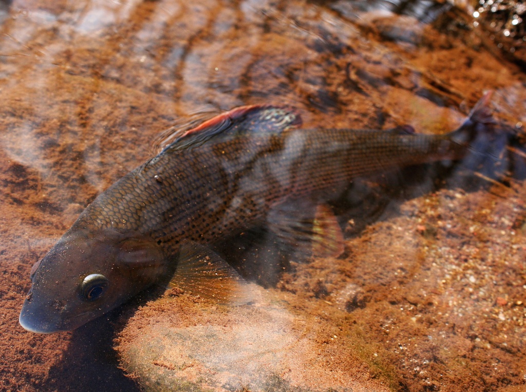 Jen v klidu odpo��vej a nab�rej sil po vy�erp�vaj�c�m souboji!
