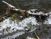 Pro zimní říční nymfování s oblibou používám prut kategorie AFTMA 3 v délce 275 cm (9 stop), který je naprosto ideální pro lov bílých případně lososovitých ryb do 40 cm. S oblibou lovím na dvě malé tungstenové nymfičky proti vodě.