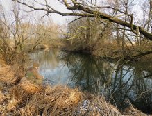 Kamarád Jirka se snaží najít nějakou pěknou štiku mezi padlými stromy. Za jeho streamerem se vyjeli podívat zatím jen menší okouni, ale naděje umírá vždy poslední, proto je důležitá vytrvalost a důvěra v místo a vaši nástrahu!