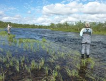 Hezký potočák ohýbá muškařskou udiici