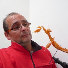 Martie van den Brand