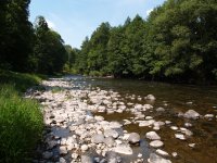 Jizera - popis pstruhového revíru