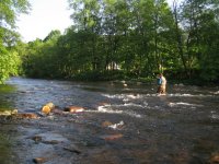 Otava - popis revíru