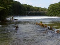 Gmundner Traun fotogalerie