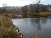 Teplá Vltava v Lenoře