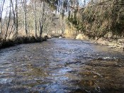 Teplá Vltava pod Horní Vltavicí