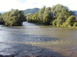 Orava nad vesnicí Mezibrodie