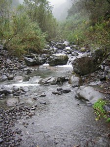 Madeira - potok