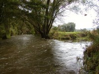 Poleňka - soutok s rozvodněnou Úhlavou