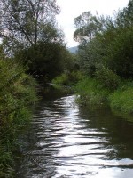 Poleňka nad soutokem s Úhlavou