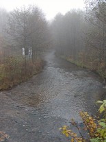Úhlava nad vtokem do Nýrskén nádrže