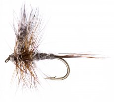 Adams Adams, vel. 16