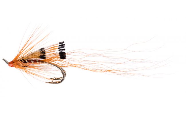 Ally's Shrimp Ally's Shrimp, vel. 9