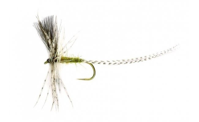 Andrzejs Polish Dun Andrzejs Polish Dun, vel. 12