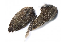 Anglick koroptev cel kdlo Veniard English Partridge Whole Wings Anglick koroptev cel kdlo Veniard English Partridge Whole Wings 