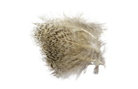 Anglick� koroptev Tommi-Fly Grizzly p�rka Anglick� koroptev Tommi-Fly Grizzly p�rka