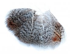 Veniard English Partridge Mixed Hackles - Anglická koroptev