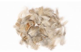 Anglick� koroptev Veniard English Partridge Grey Neck Hackles 3 g Natural Anglick� koroptev Veniard English Partridge Grey Neck Hackles 3 g p��rodn�