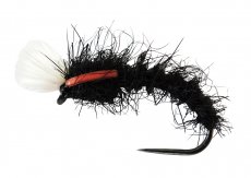 AR Carp Tuty AR Carp Tuty, vel. 10