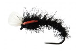 AR Carp Tuty AR Carp Tuty, vel. 8