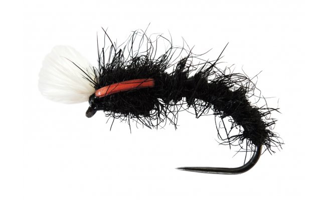 AR Carp Tuty AR Carp Tuty, vel. 8