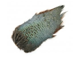 Ba�ant Veniard Pheasant Cock Ringneck ... Ba�ant Veniard Pheasant Cock Ringneck Chinese Back Patch