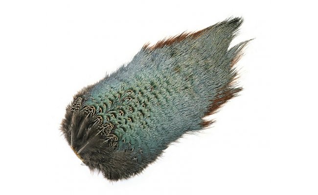 Ba�ant Veniard Pheasant Cock Ringneck Chinese Back Patch Ba�ant Veniard Pheasant Cock Ringneck Chinese Back Patch