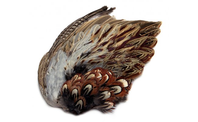 Ba�ant� k��dla Veniard Pheasant Cock Ringneck Whole Wings Ba�ant� k��dla Veniard Pheasant Cock Ringneck Whole Wings