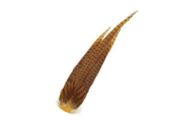 Bažantí ocas Veniard Pheasant Cock Ringneck Complete Tail Bažantí ocas Veniard Pheasant Cock Ringneck Complete Tail přírodní