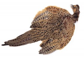 Ba�ant� slepice Veniard Pheasant Hen ... Ba�ant� slepice Veniard Pheasant Hen Ringneck Complete Body Skin